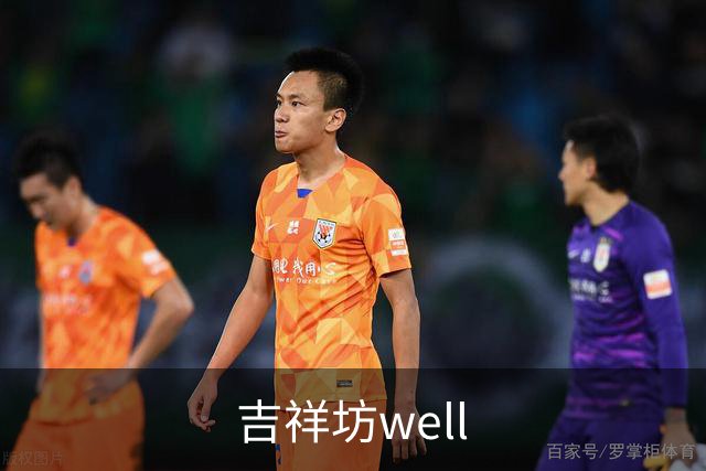 吉祥坊well公司简介